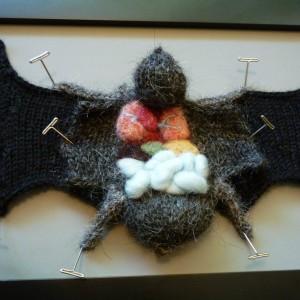 Knitted dissected bat