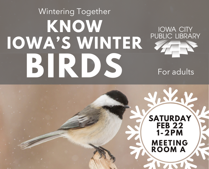 know iowa's winter birds