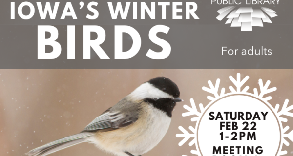 know iowa's winter birds