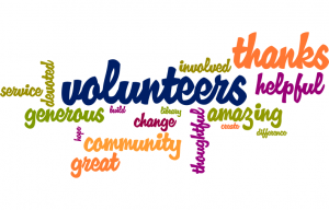 volunteerwordle