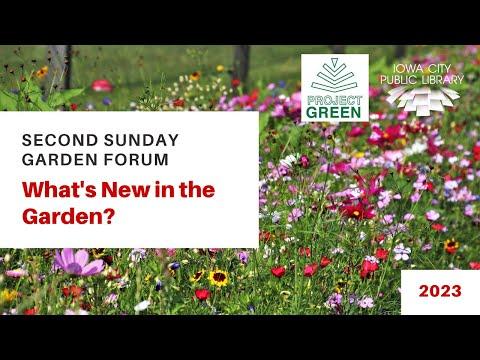 What's new in the garden?